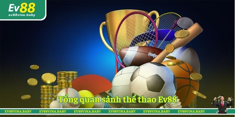 Tổng quan sảnh thể thao Ev88